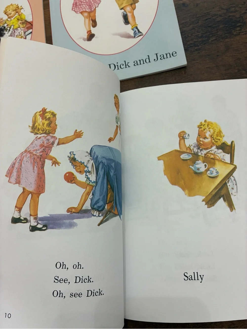 Read with Dick and Jane Classic Children’s  Book Set
